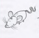 Genus der Nomen: موش مؤنث است (die Maus)