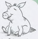 Genus der Nomen: خوکچه خنثی است (das Schweinchen)