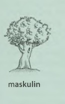 Genus der Nomen: قاعدهی اسمهای مذکر (maskulin)