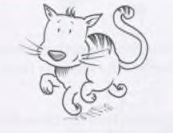 Artikel: این یک گربه است (Das ist eine Katze)
