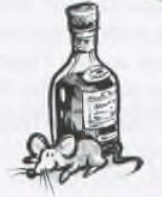 Wechselpräpositionen: موش پشت بطری نشسته است (vor der Flasche / vor die Flasche)