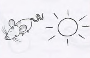 موش و خورشید (die Maus، die Sonne)