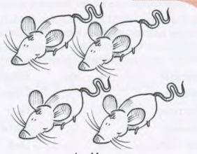 چهار موش (viele Mäuse، Plural)
