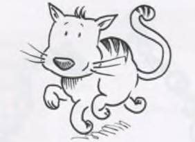 Bestimmter und unbestimmter Artikel: گربه (Das ist eine Katze)