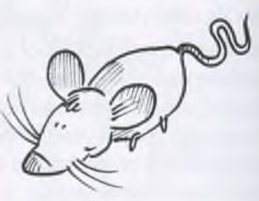 موش (Das ist keine Katze, das ist eine Maus)