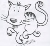گربه (Die Katze gehört der Nachbarin)